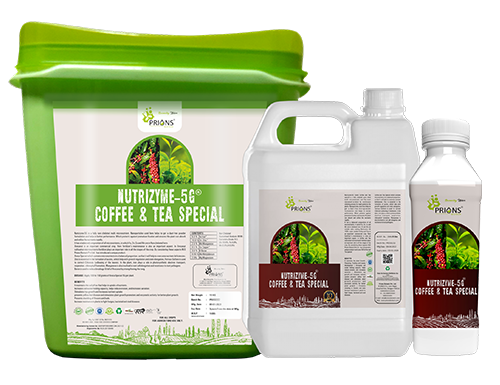 Cofee and Tea Plant Growth Promoter